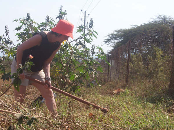 Clearing the land given by the Chief to the Mashudu Projects in Tshakhuma	