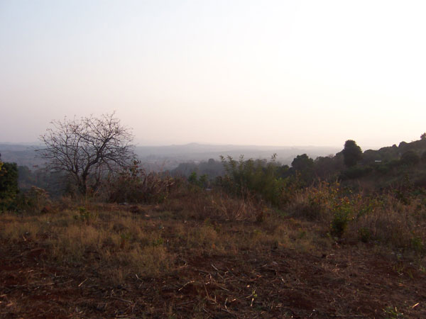This was there view. It took an hour for Margaret, Becky and the volunteers to reach the 